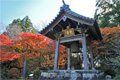 秋の龍潭寺