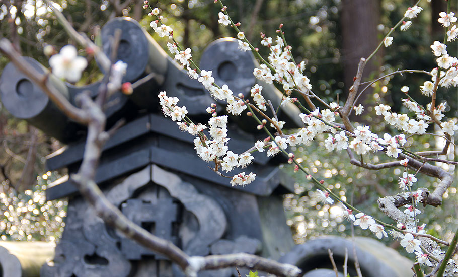 遠州の古刹 龍潭寺